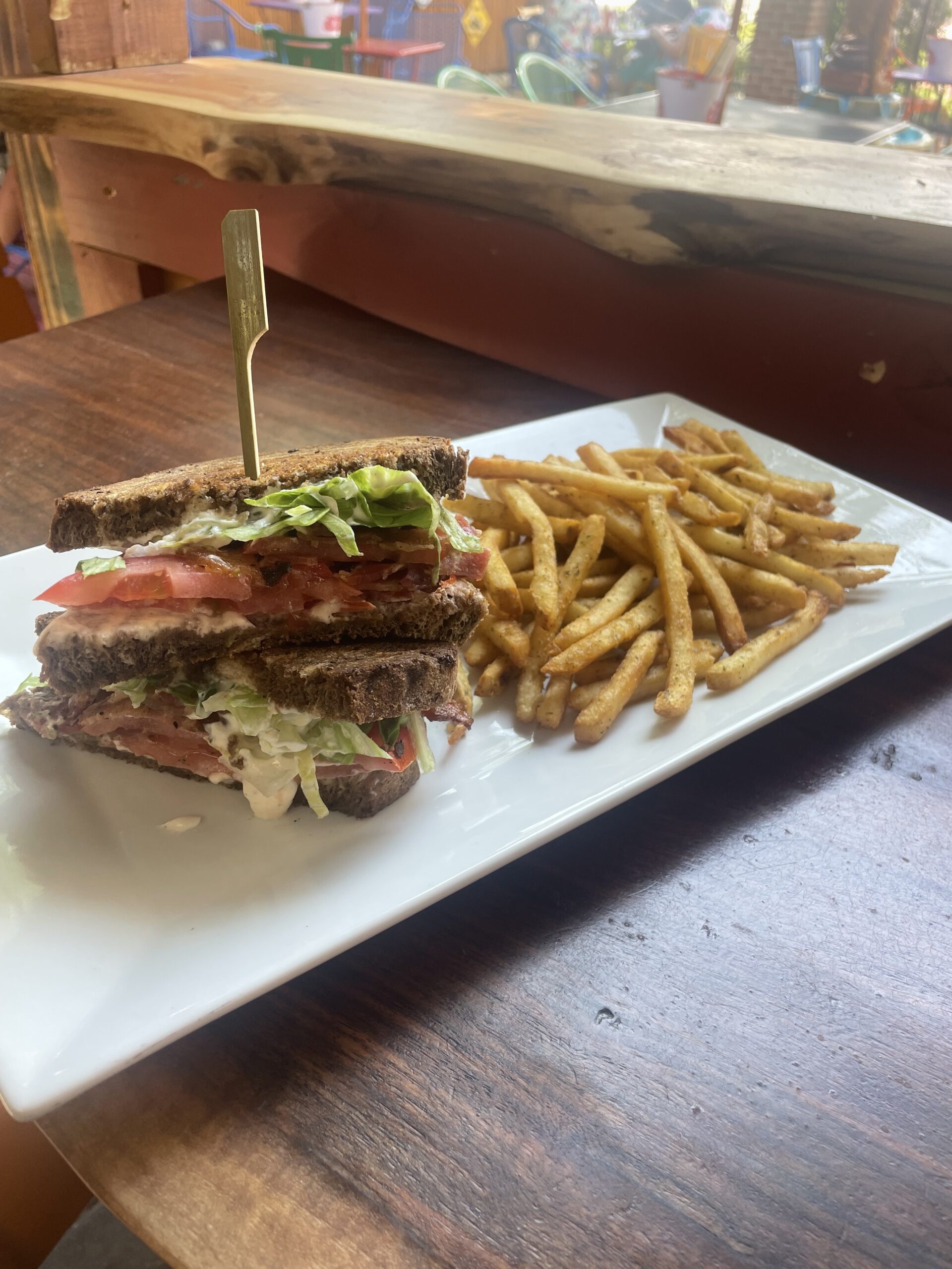 A sandwich on a plate with fries on it.